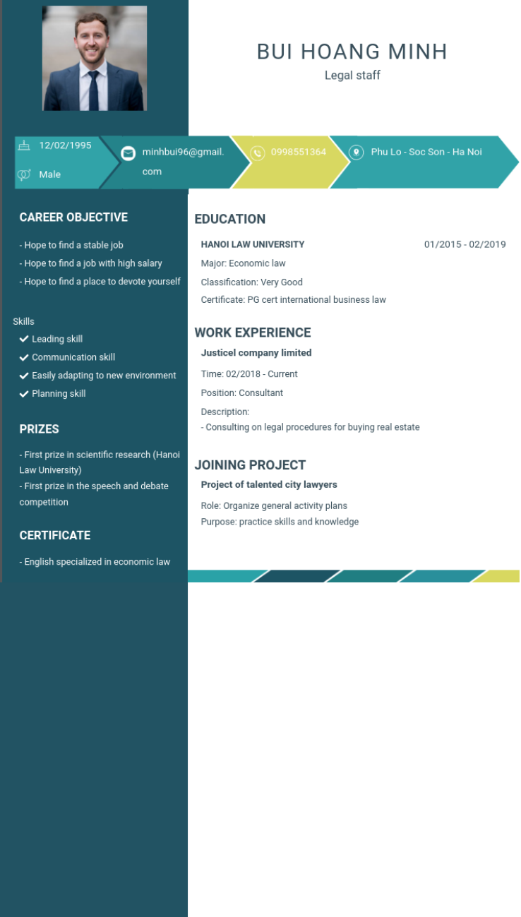 CV tiếng Anh tham khảo - Mẫu CV ngành Luật - cv.timviec.com.vn