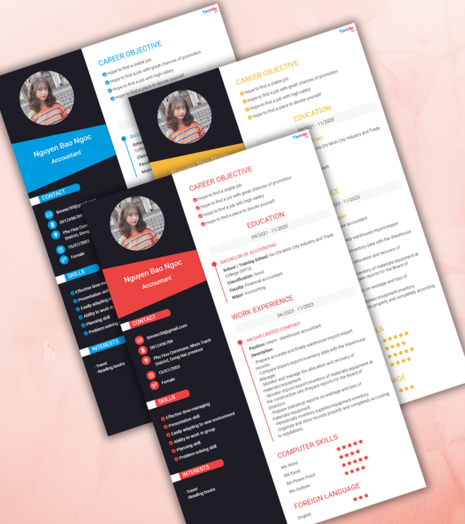 Mẫu CV tiếng Anh - Mẫu CV Nhân Viên Kế toán Kế Toán - CV.timviec.com.vn