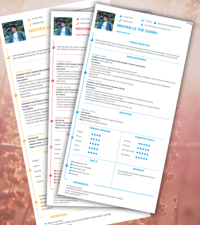 Mẫu CV tiếng Anh - Mẫu CV Giám Đốc Kinh Doanh - CV.timviec.com.vn