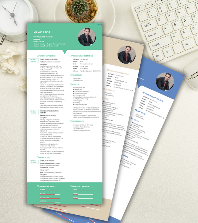 Mẫu CV tiếng Anh - Mẫu CV Giám Đốc Điều Hành - CV.timviec.com.vn