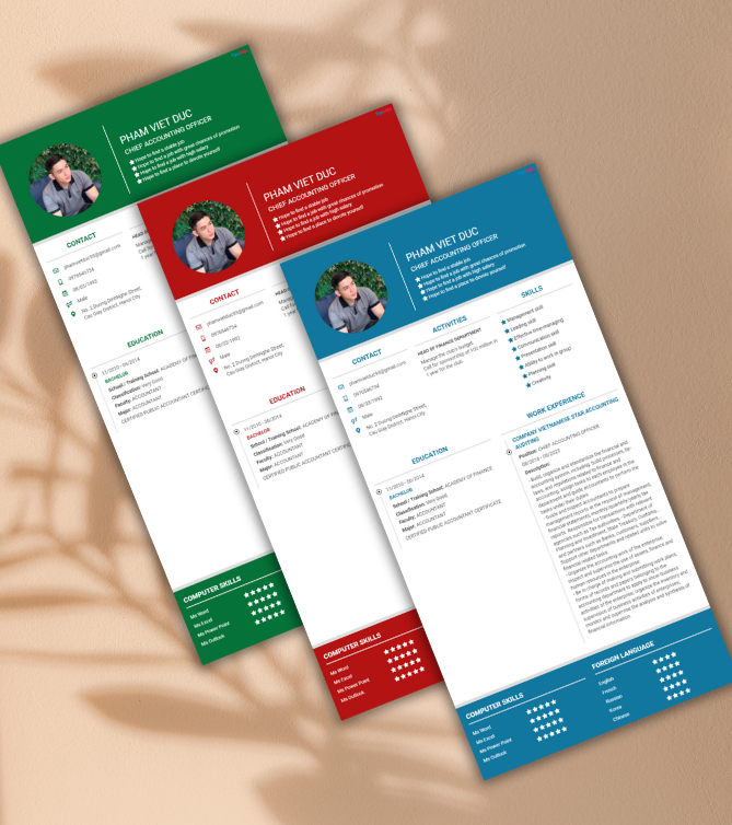 Mẫu CV tiếng Anh - Mẫu CV Kế Toán Trưởng - CV.timviec.com.vn