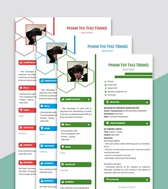 Mẫu CV xin việc truyền thống
