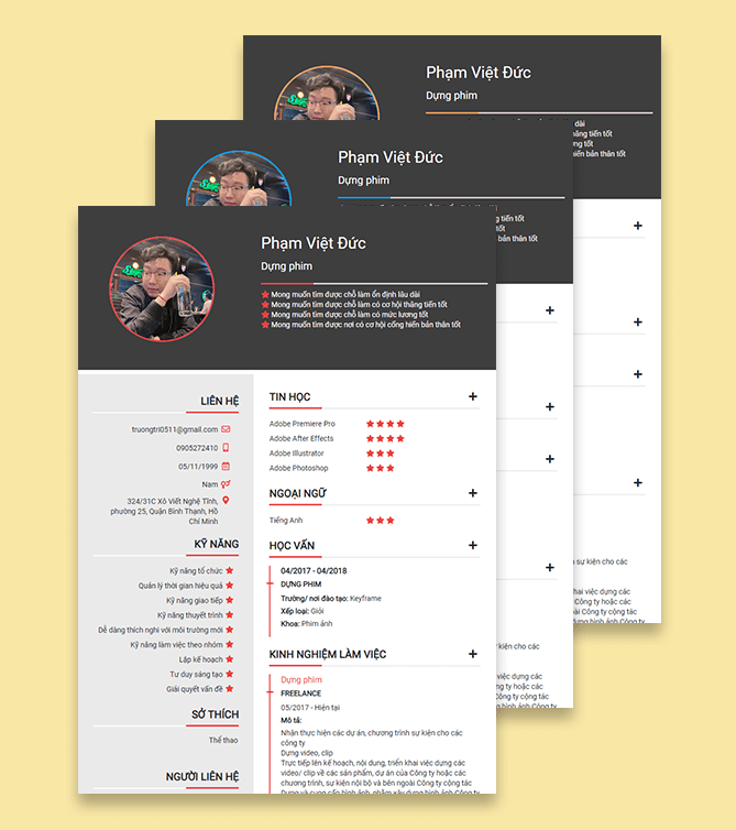 Mẫu CV xin việc cổ điển