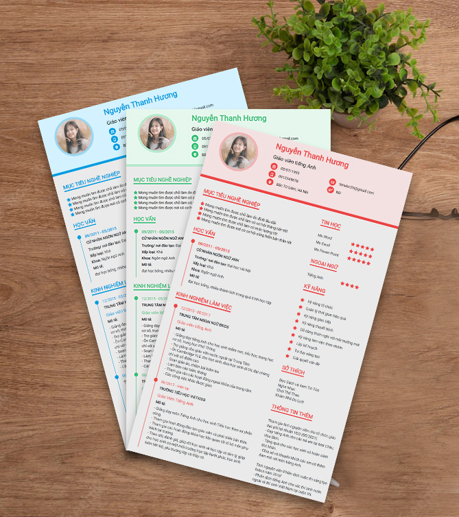 Mẫu CV xin việc giáo viên