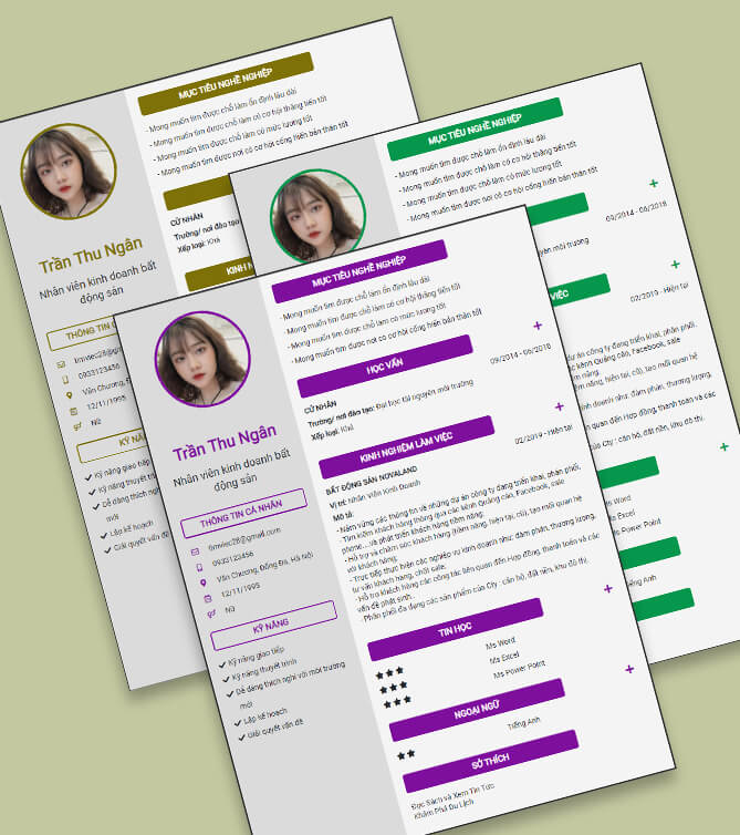 Mẫu CV xin việc ngành Bất động sản