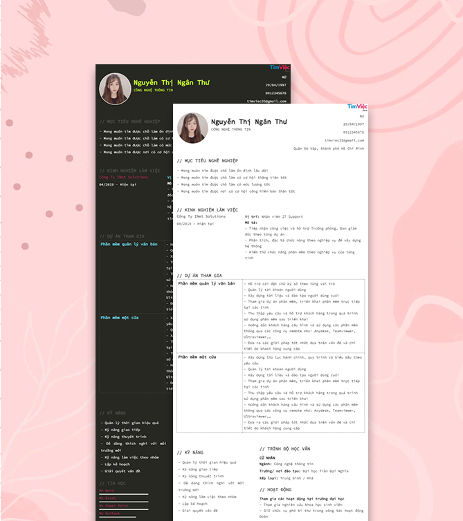 Mẫu CV Nhân Viên IT