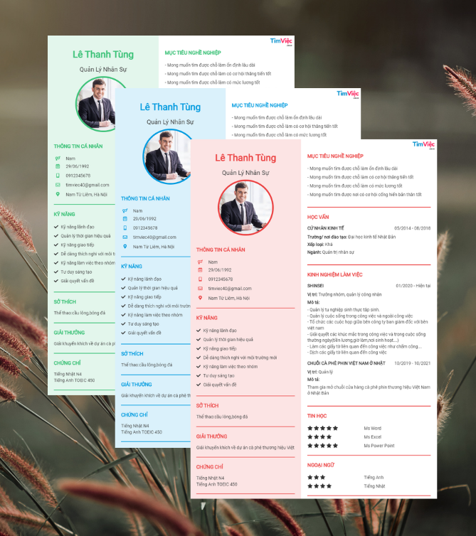 Mẫu CV Quản Lý