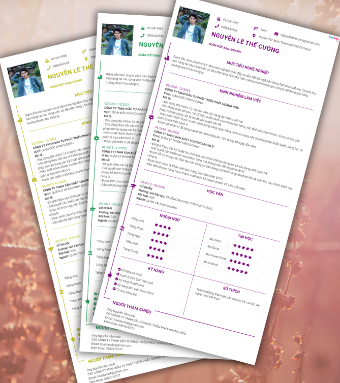 Mẫu CV Giám Đốc Kinh Doanh